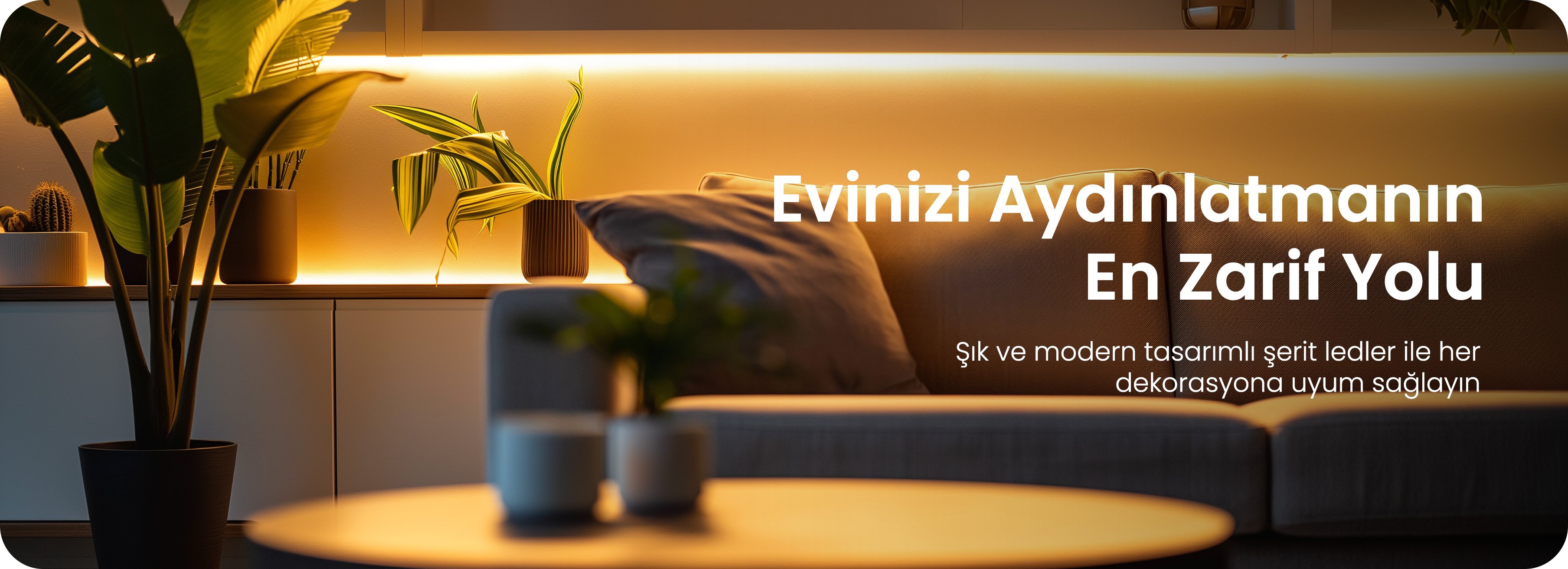 Levent Online | Maxled Şerit LED